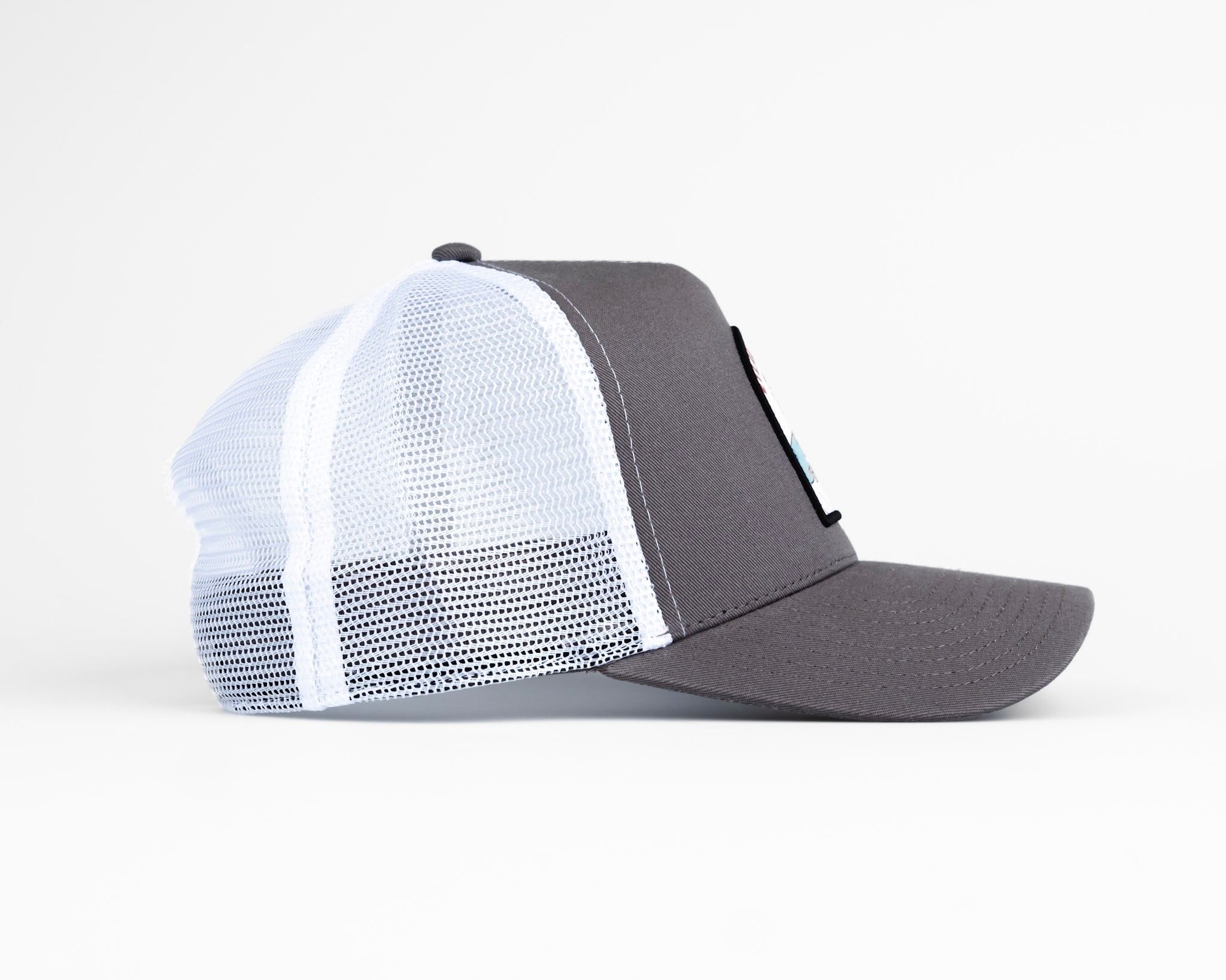 Vintage Longboard Hat Gray